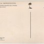 Sunset at a beautiful Florida beach Postcard Photo by Morris Fostoff FL palm trees volleyball #0529