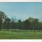 Tanglewood Par-3 Golf Course Clemmons NC chrome postcard   #0533