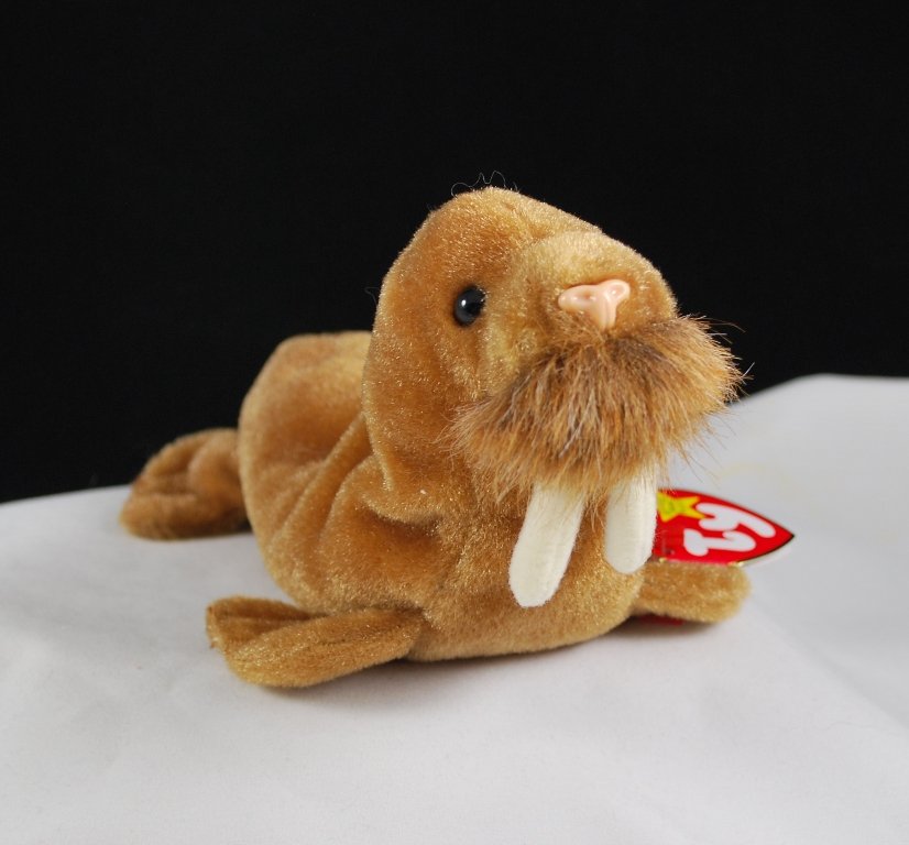 Ty Beanie Baby Paul The Walrus 1999 5th Generation Hang Tag for sale online 