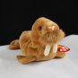 Ty Paul The Walrus Retired Beanie Baby 4248