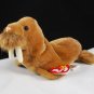 Ty Paul The Walrus Retired Beanie Baby 4248