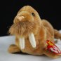 Ty Paul The Walrus Retired Beanie Baby 4248