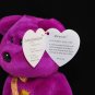 Retired Ty Millennium The Bear Beanie Baby 4226