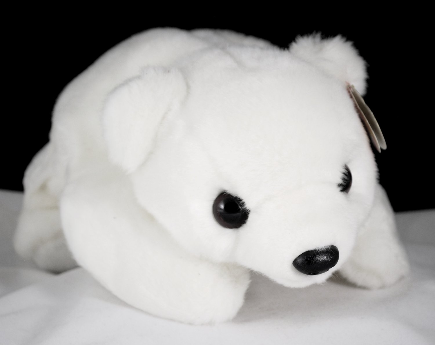 Chilly the Polar Bear Ty Beanie Buddy Plush Style 9317