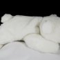 Chilly the Polar Bear Ty Beanie Buddy Plush Style 9317