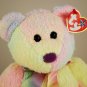 Ty Groovy the Bear Beanie Buddy Style 9345
