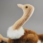 Stretch the Ostrich Ty Beanie Buddy Plush Style 9303