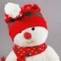 ty beanie buddy snowboy