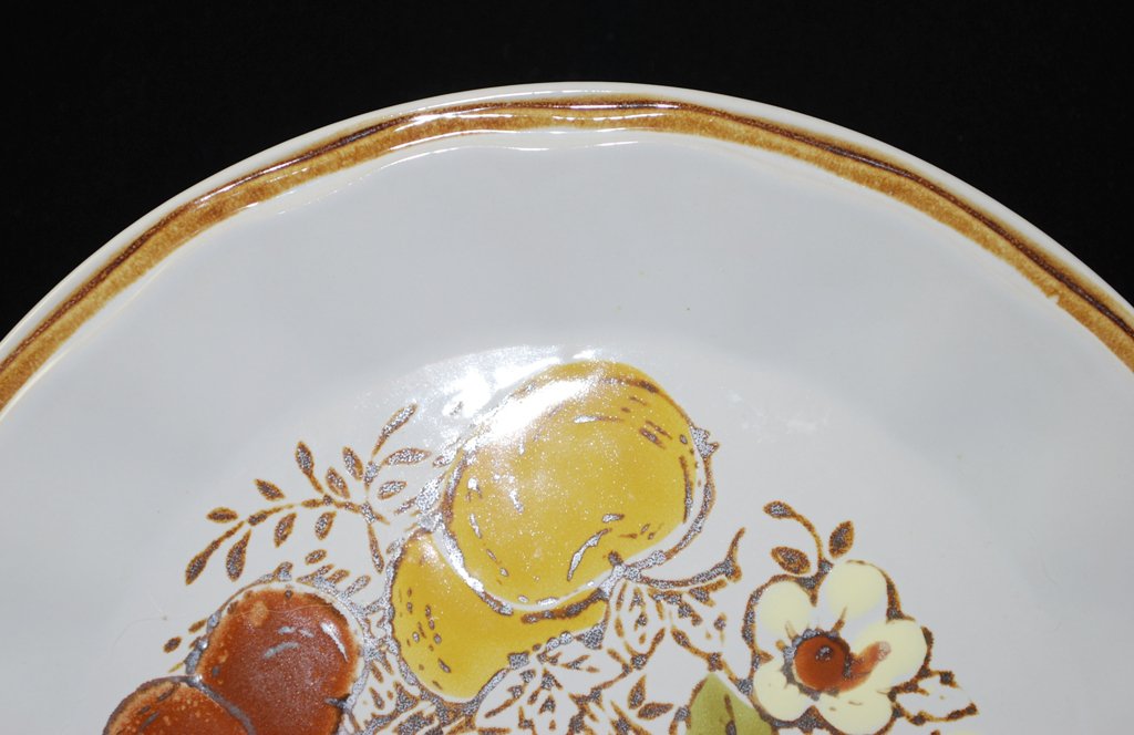 Vintage Japan Harvest Hand Painted Stoneware Dinner Plate