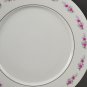 Set of 4 China Dinner Plates w/ Pink Floral on White with Platinum Trim