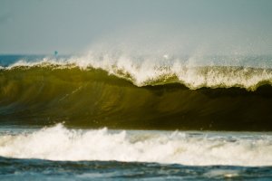 Summer Barrel - 13x19 Print