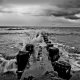 Landscapes