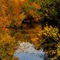 NJ Fall Foliage - 13x19 Print