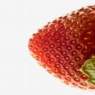 Strawberry - 13x19 Print