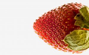 Strawberry - 13x19 Print