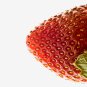 Strawberry - 13x19 Print