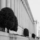 US Department of the Treasury - 13x19 Print
