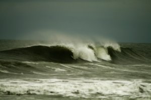Early May Wave - 5x7 Print