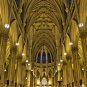 St. Patrick's Cathedral - 5x7 Print