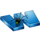 WEBSITE DESIGNING SERVICE: