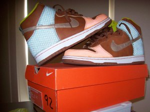 Nike Dunk High premium