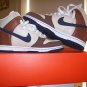 Nike Dunk High premium