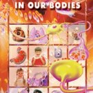 Miracle in our Bodies