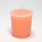 Salmon Dye Chips 100-pcs.