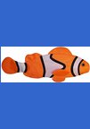 Clown Fish  Windsock 40" Nemo