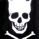 Skull Crown Pirate Flag 3x5 Boat Motorcycle
