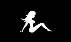The Lady Biker Flag 3x5 Boat/Motorcycle Flag
