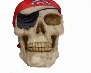 Surrender the Booty Pirate Skull - Heavy Poly Resin - Great for Partys!