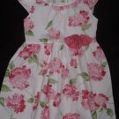 Little Sprouts rose dress