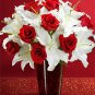Roses In Snow