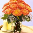 Sunset Roses