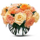 Pastel Roses