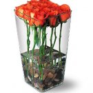 River Roses