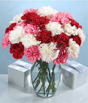 Carnations Bouquet