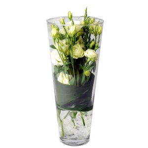 Roses in Ice