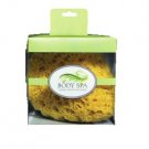 Body Spa - Sponge with Built In Vibrating Massager
