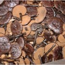 1 Kilo Dried whole Wild Reishi Mushroom Pack 1 Kilo Dried whole Wild Reishi Mushroom Pack