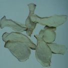1 Kilo Dried Sliced Pleurotus Eryngii Mushrooms Pack 1 Kilo Dried Sliced Pleurotus Eryngii Mushrooms Pack