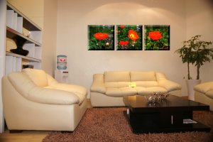 stretched canvas print,canvas painting,canvas art,canvas wall art,giclee print