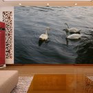Wall Mural Wall Decor Wall Art--Swan Group Wall Mural Wall Decor Wall Art--Swan Group