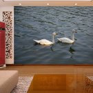 Wall Mural Wall Decor Wall Art--Double Swans Wall Mural Wall Decor Wall Art--Double Swans
