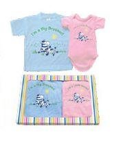 Big Brother Little Sister matching gift Tshirt set - 2T