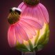 Ibis & Orchid Designs