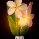 Plumeria Nightlight - Ibis & Orchid Designs