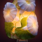 Morning Glory Nightlight - Ibis & Orchid Designs