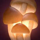 Mushrooms Nightlight - Ibis & Orchid Designs